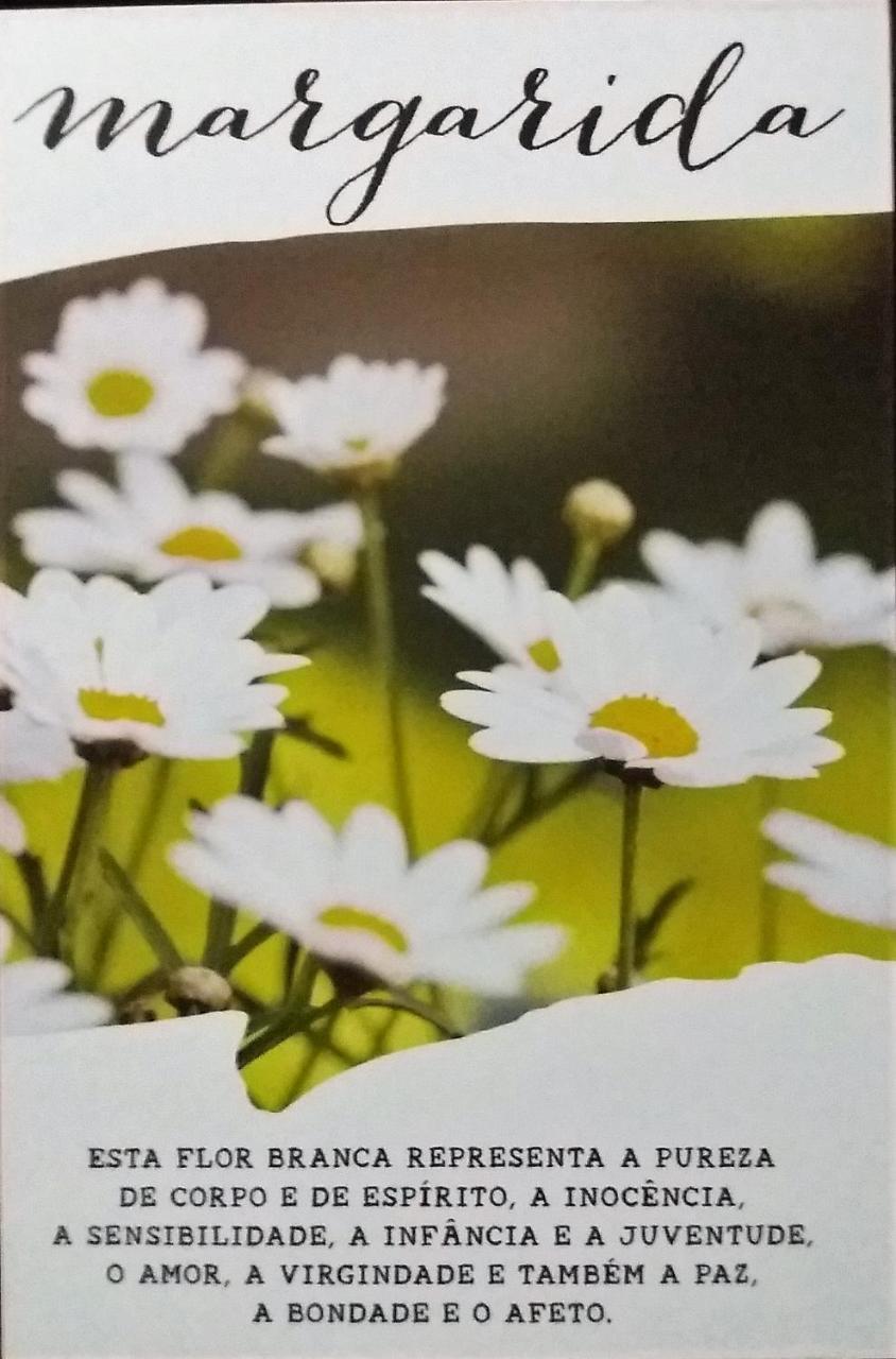 Отель Recanto Das Flores Praia de Pipa Экстерьер фото