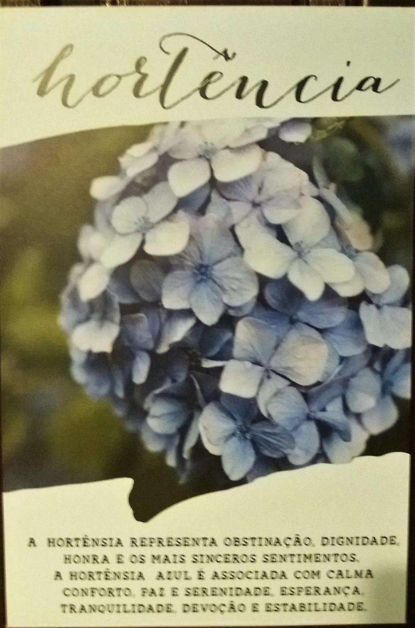 Отель Recanto Das Flores Praia de Pipa Экстерьер фото